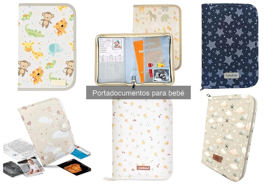 Características Importantes de un Portadocumentos para Bebé