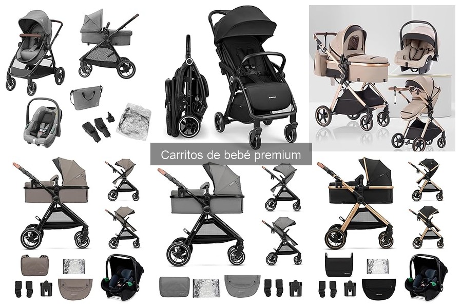 ¿Cuándo comprar un carrito de bebé premium? Guía útil