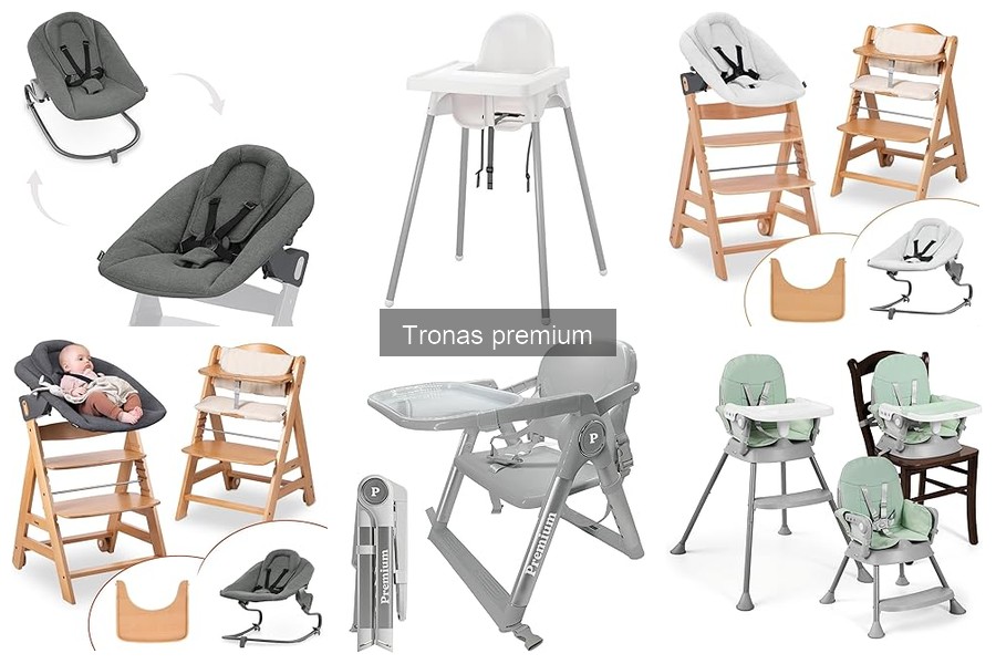 Problemas Comunes con Tronas Premium y Sus Soluciones