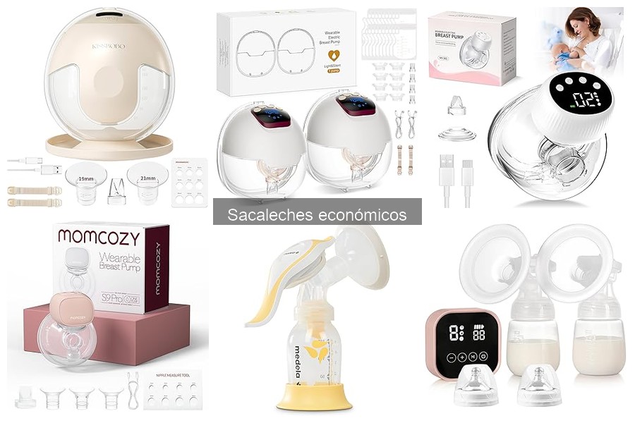 Sacaleches económicos vs. premium: ¿realmente abundan las diferencias?
