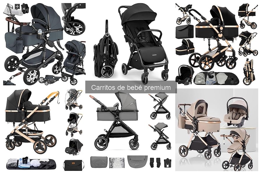 ¿Son necesarios los carritos de bebé premium? Pros y contras